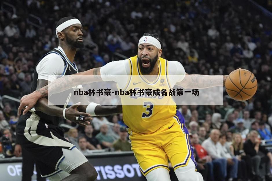 nba林书豪-nba林书豪成名战第一场